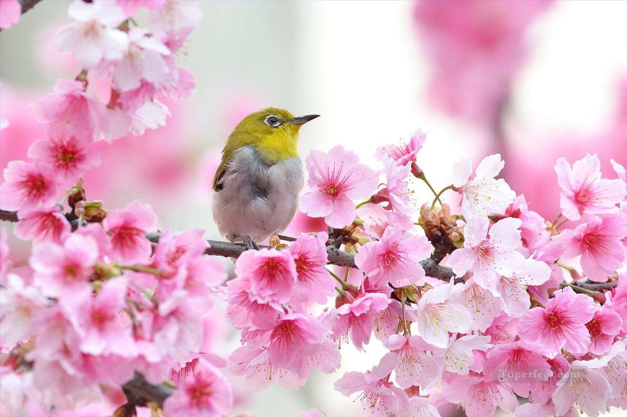 Bird in Cherry Blossom Spring Painting from Photos to Art Oil Paintings